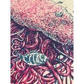 Jellyfish - 16 x 20 Silkscreen Print